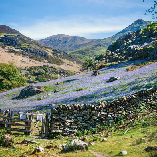 lake-district-scene-tours-40 lake-district-scene-tours-40